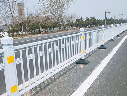 道路護（hù）欄案例6